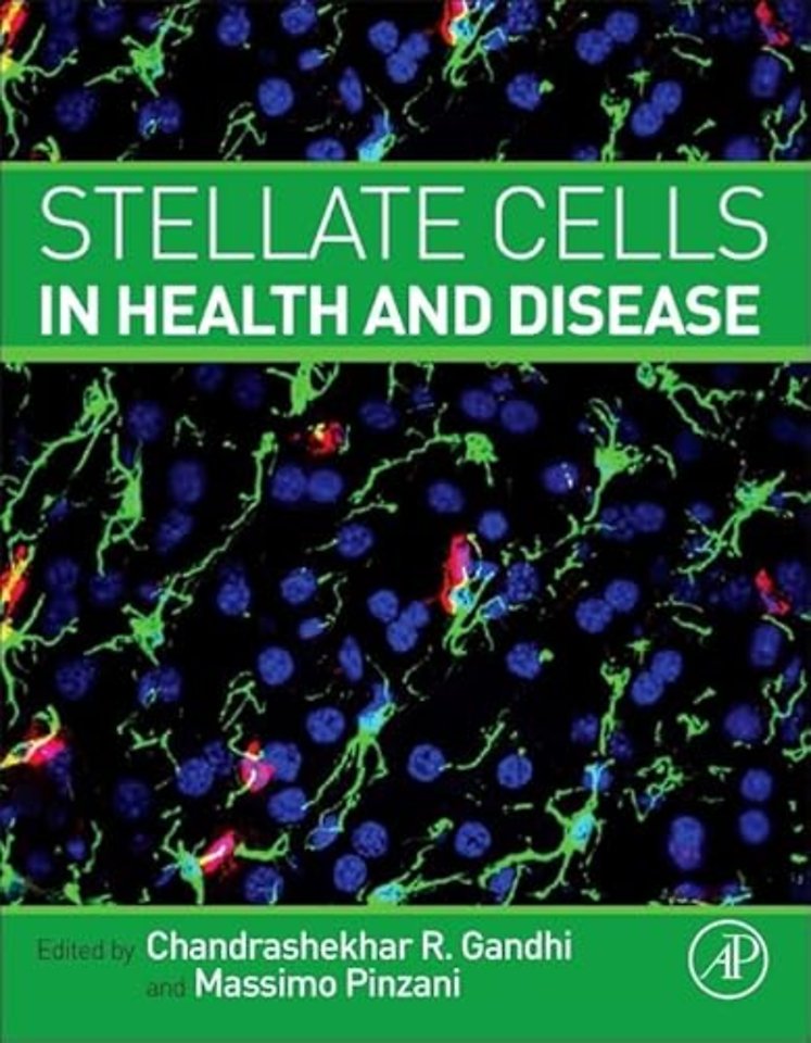 Stellate Cells in Health and Disease