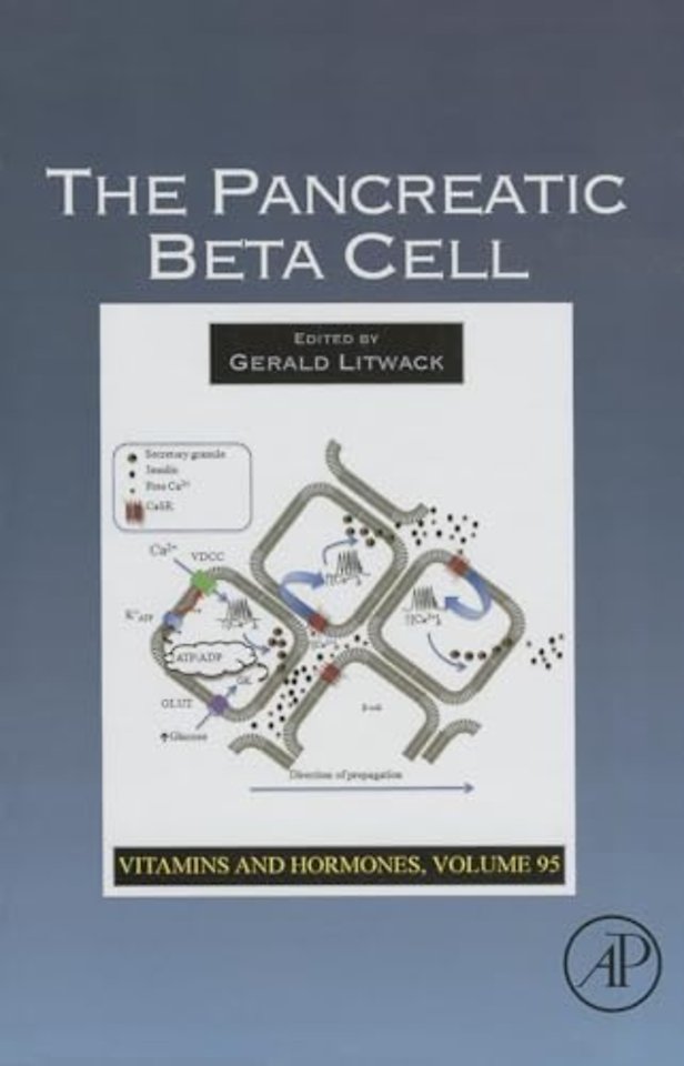 The Pancreatic Beta Cell