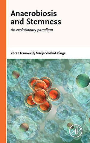 Anaerobiosis and Stemness