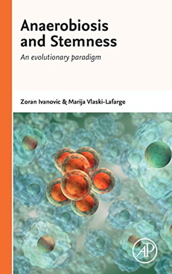 Anaerobiosis and Stemness