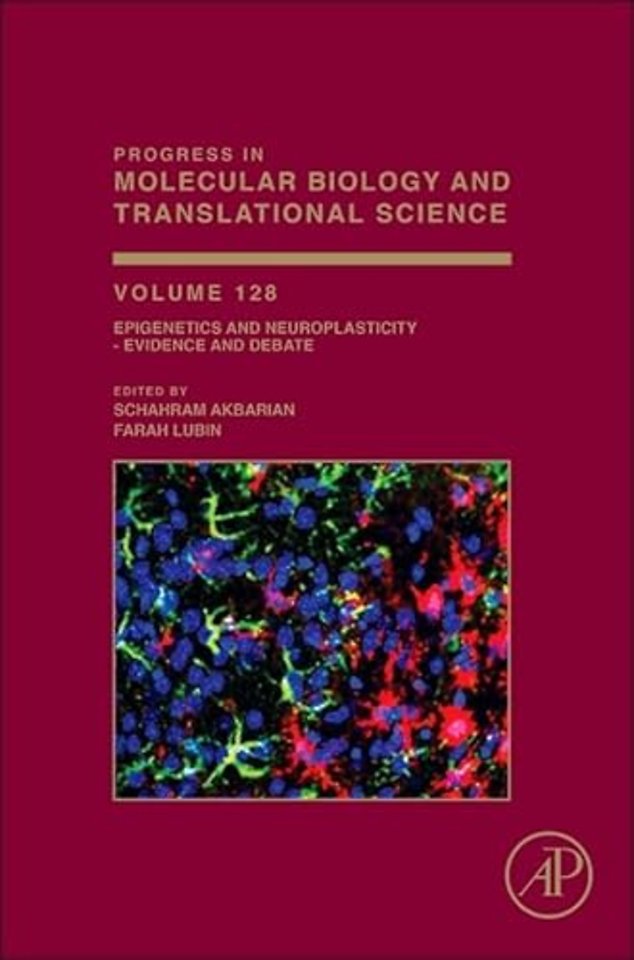 Epigenetics and Neuroplasticity - Evidence and Debate