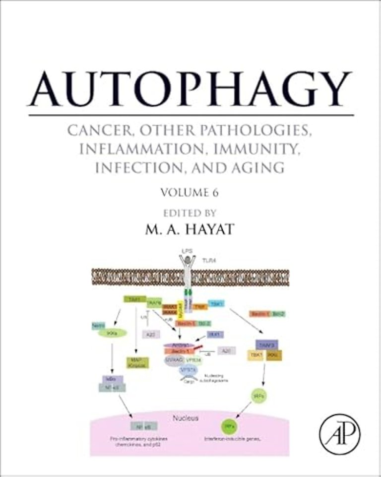 Autophagy: Cancer, Other Pathologies, Inflammation, Immunity, Infection, and Aging
