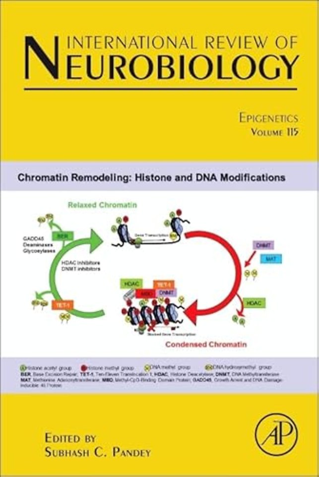 Epigenetics