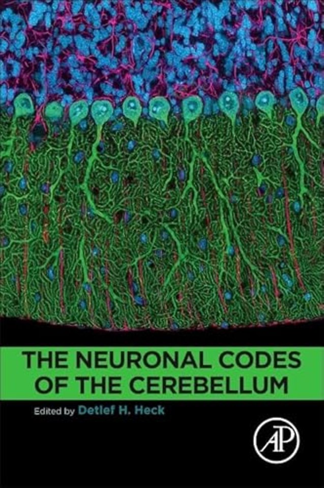 The Neuronal Codes of the Cerebellum