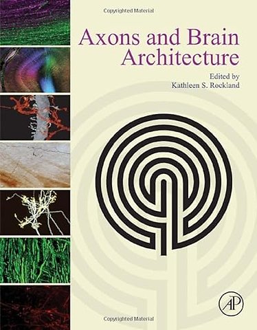 Axons and Brain Architecture