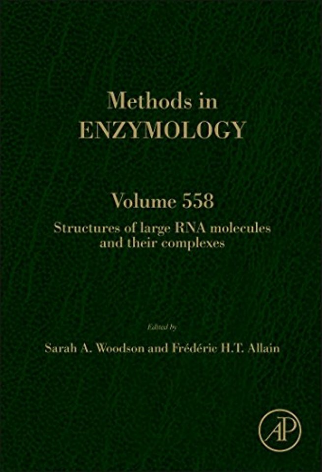 Structures of Large RNA Molecules and Their Complexes