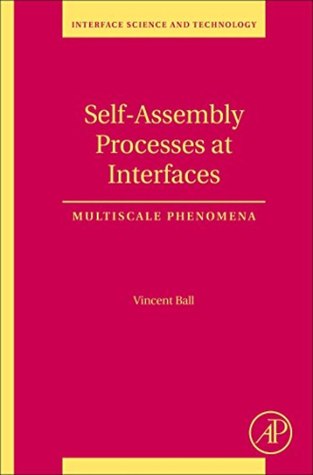 Self-Assembly Processes at Interfaces