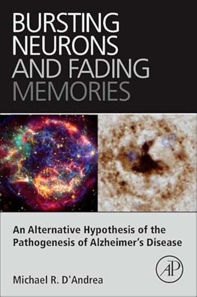 Bursting Neurons and Fading Memories