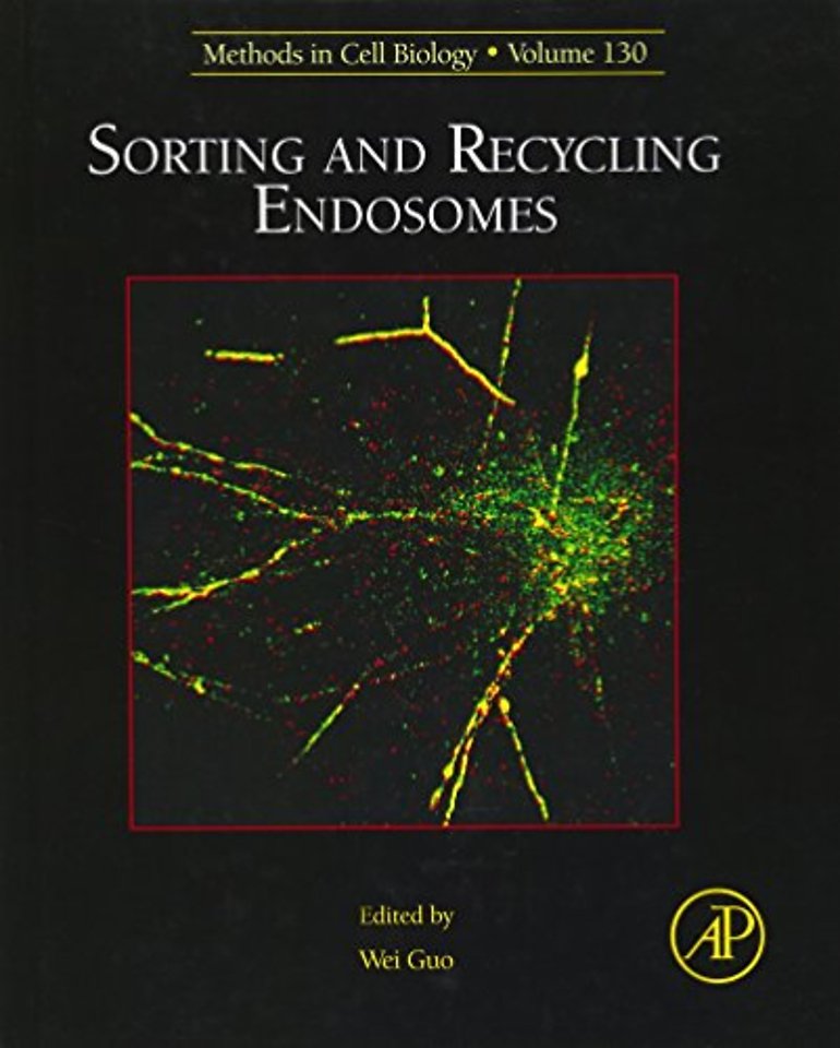 Sorting and Recycling Endosomes