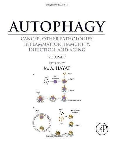 Autophagy: Cancer, Other Pathologies, Inflammation, Immunity, Infection, and Aging