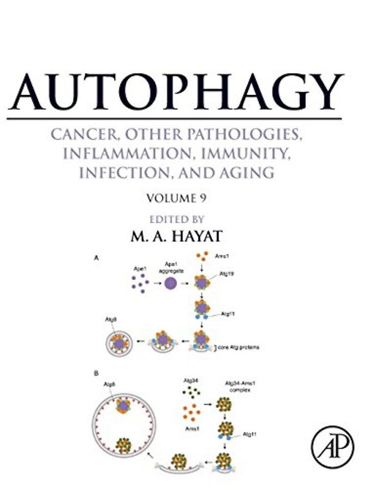 Autophagy: Cancer, Other Pathologies, Inflammation, Immunity, Infection, and Aging