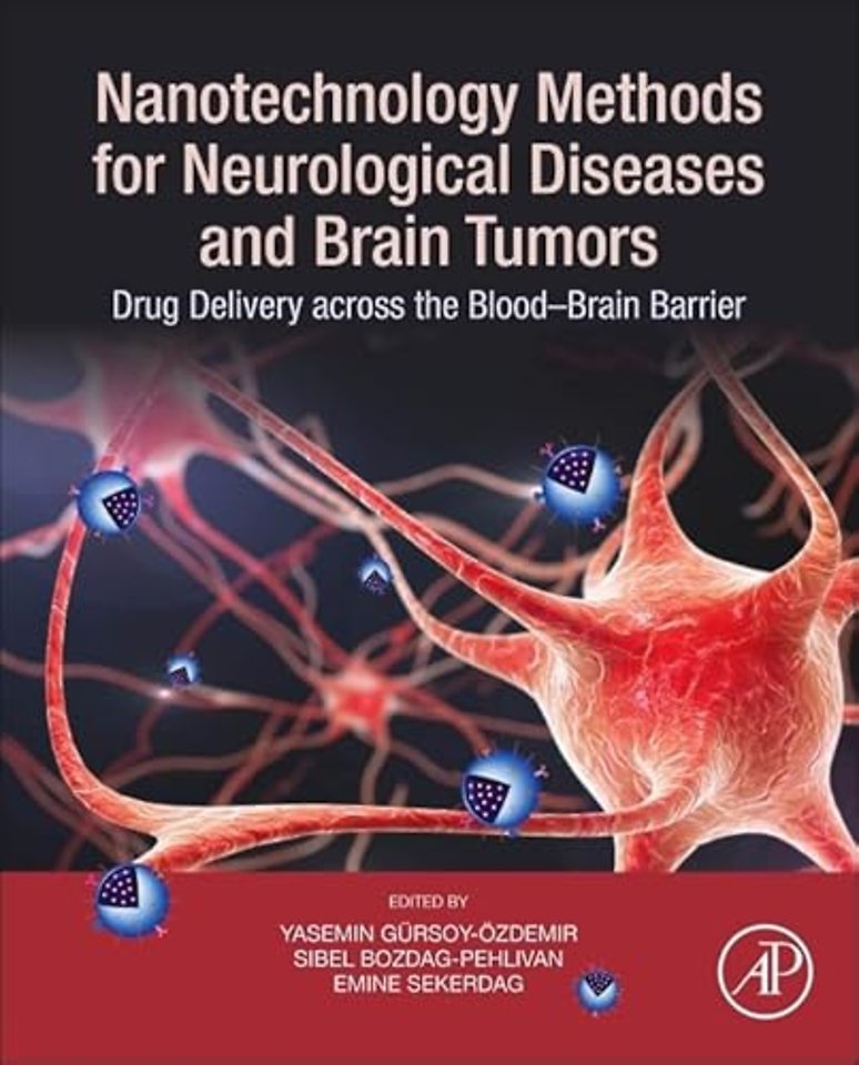 Nanotechnology Methods for Neurological Diseases and Brain Tumors