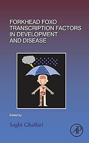 Forkhead FOXO Transcription Factors in Development and Disease