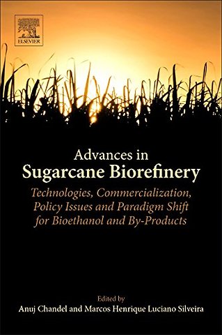 Advances in Sugarcane Biorefinery