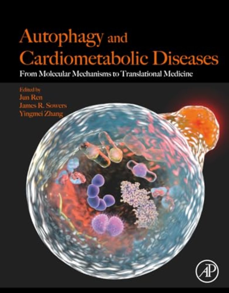 Autophagy and Cardiometabolic Diseases