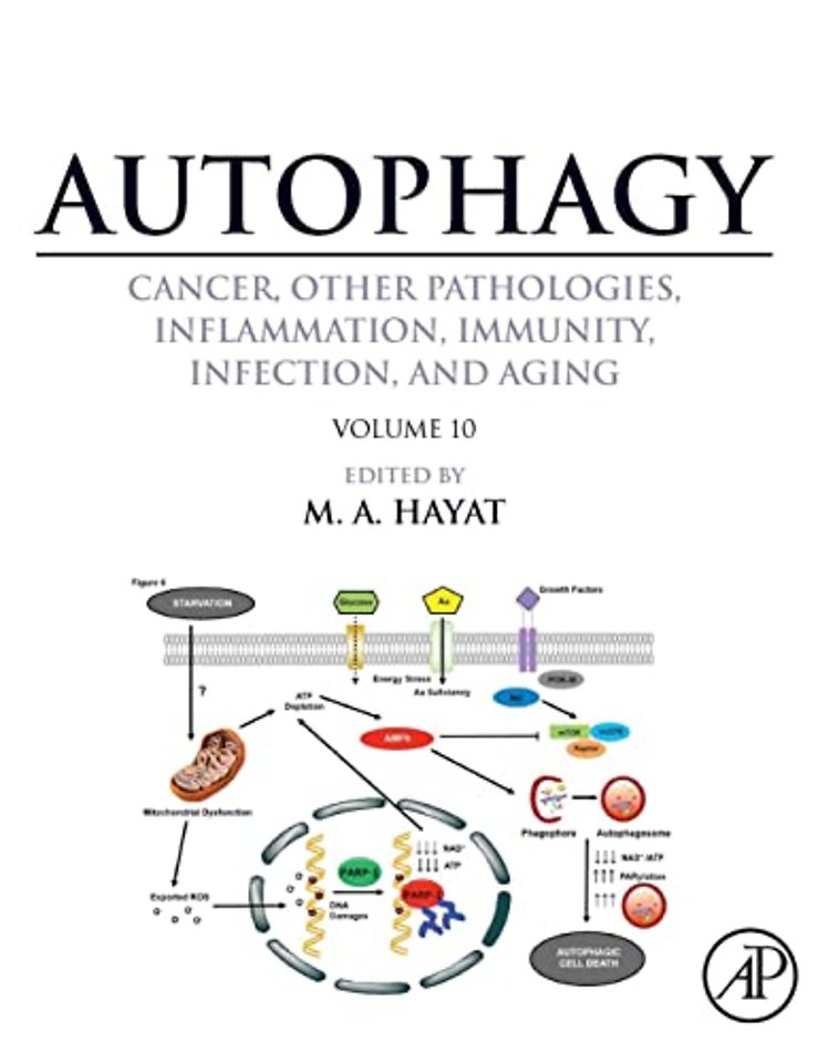 Autophagy: Cancer, Other Pathologies, Inflammation, Immunity, Infection, and Aging