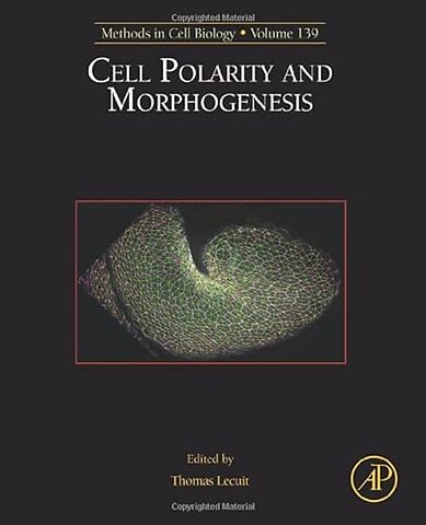Cell Polarity and Morphogenesis