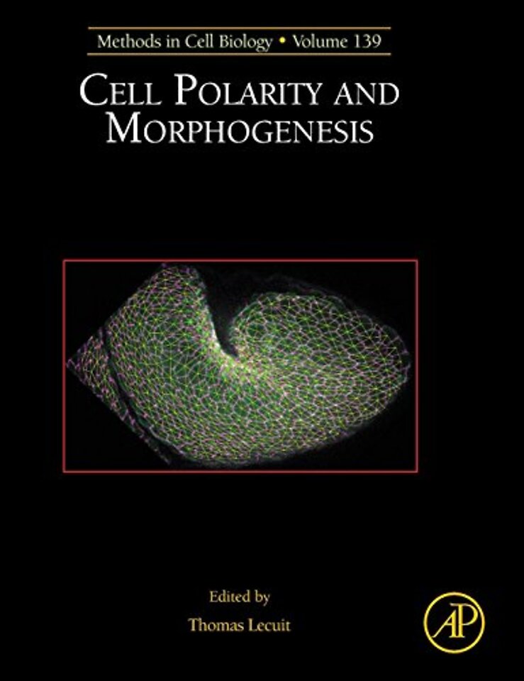 Cell Polarity and Morphogenesis