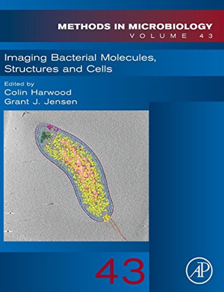 Imaging Bacterial Molecules, Structures and Cells
