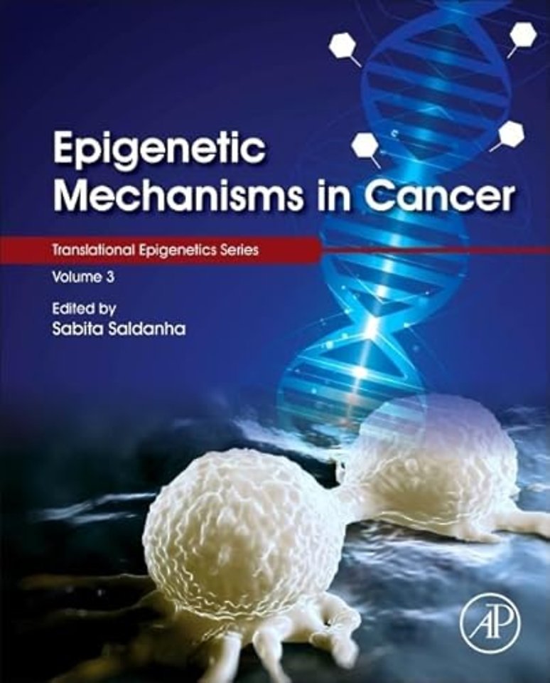 Epigenetic Mechanisms in Cancer