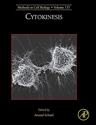 Cytokinesis