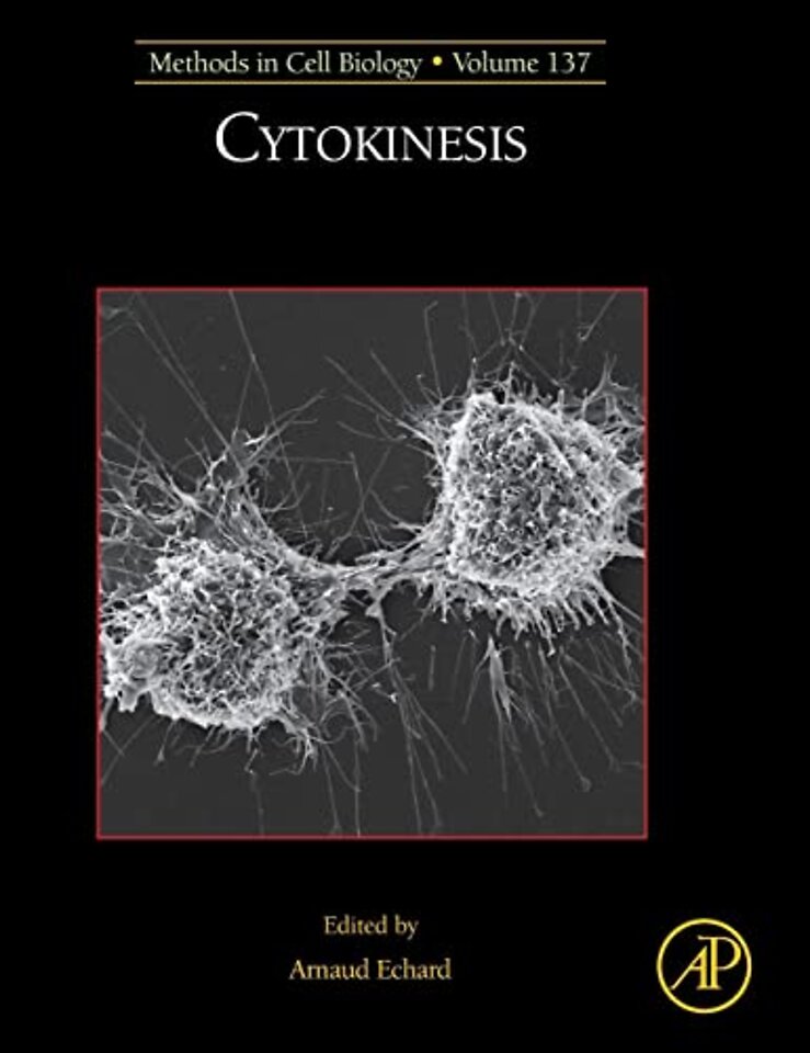 Cytokinesis