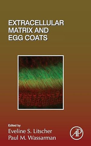 Extracellular Matrix and Egg Coats