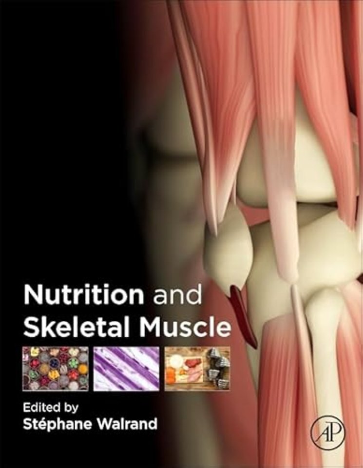 Nutrition and Skeletal Muscle