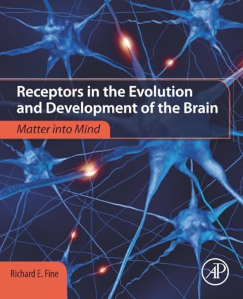Receptors in the Evolution and Development of the Brain