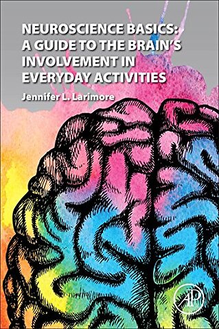 Neuroscience Basics