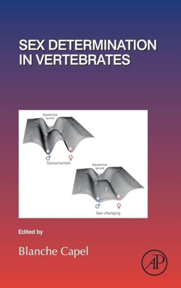 Sex Determination in Vertebrates