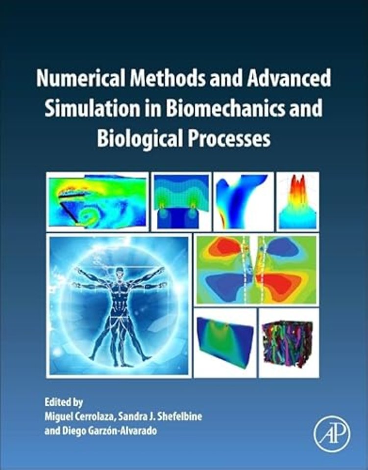 Numerical Methods and Advanced Simulation in Biomechanics and Biological Processes