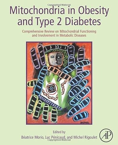 Mitochondria in Obesity and Type 2 Diabetes