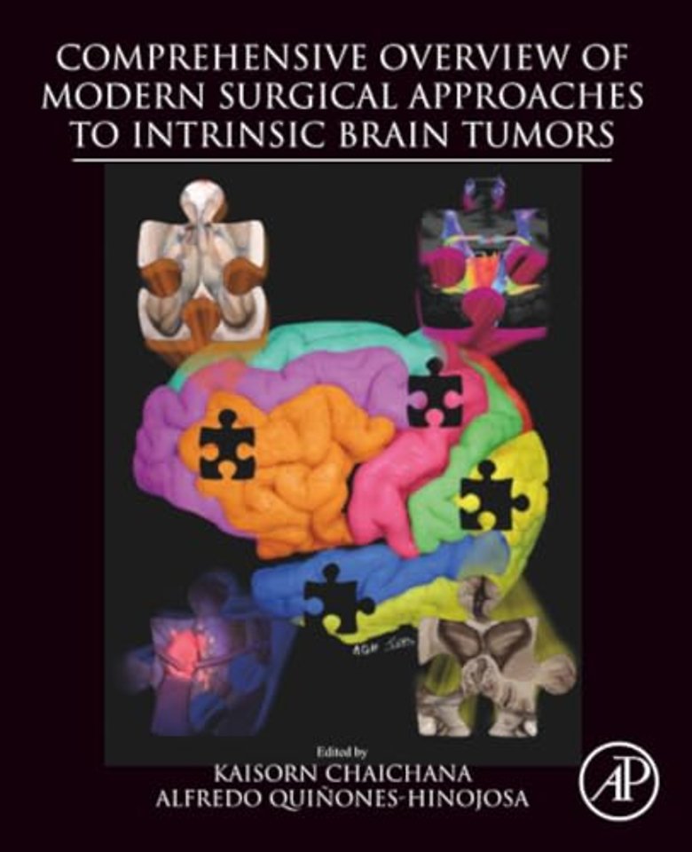 Comprehensive Overview of Modern Surgical Approaches to Intrinsic Brain Tumors