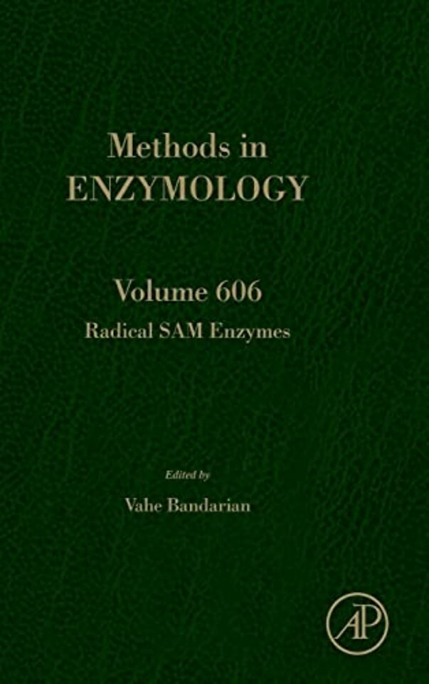 Radical SAM Enzymes