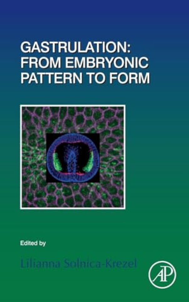 Gastrulation: From Embryonic Pattern to Form