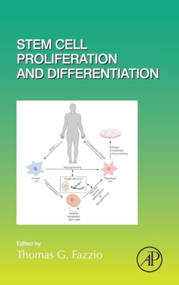Stem Cell Proliferation and Differentiation