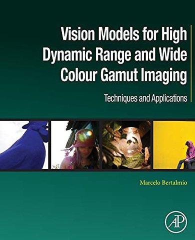 Vision Models for High Dynamic Range and Wide Colour Gamut Imaging