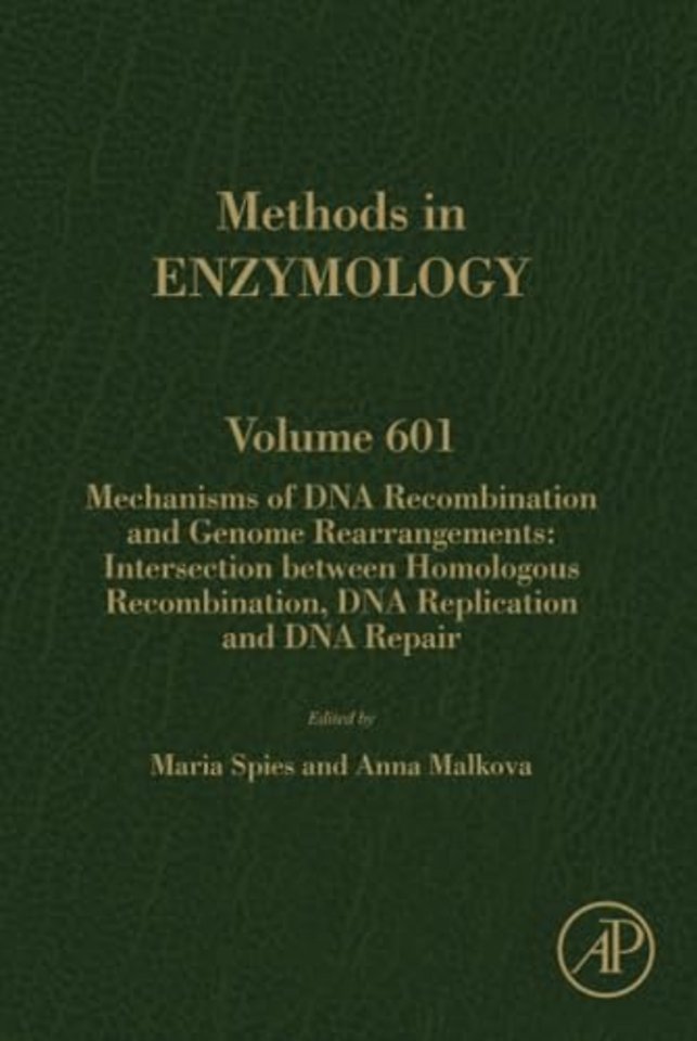 Mechanisms of DNA Recombination and Genome Rearrangements: Intersection Between Homologous Recombination, DNA Replication and DNA Repair