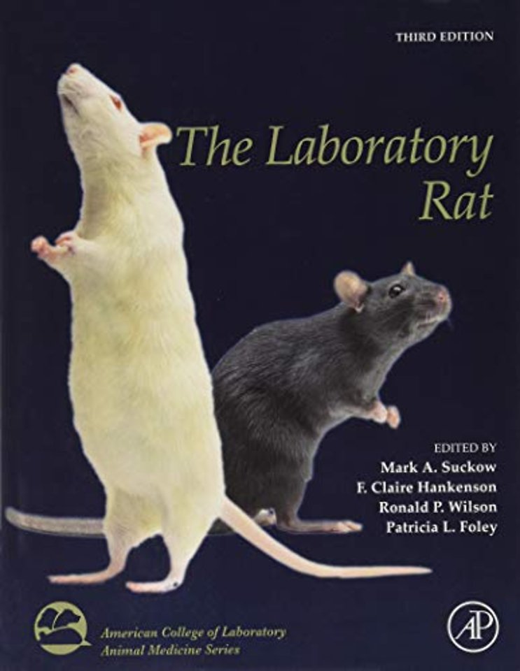 The Laboratory Rat