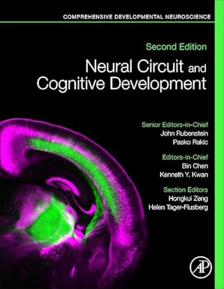 Neural Circuit and Cognitive Development