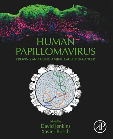 Human Papillomavirus