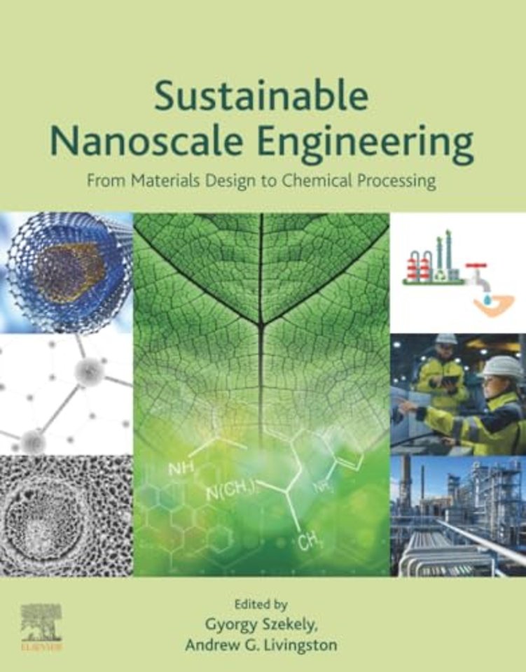 Sustainable Nanoscale Engineering
