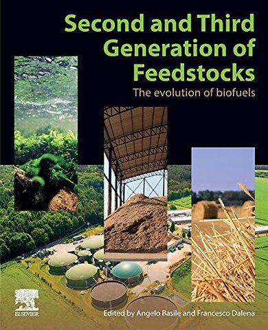 Second and Third Generation of Feedstocks