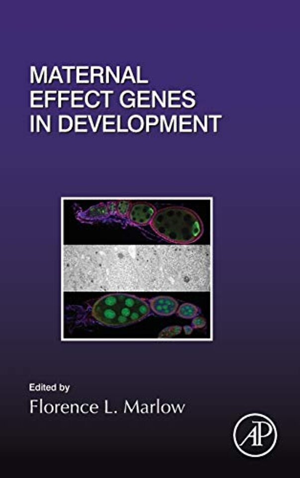 Maternal Effect Genes in Development