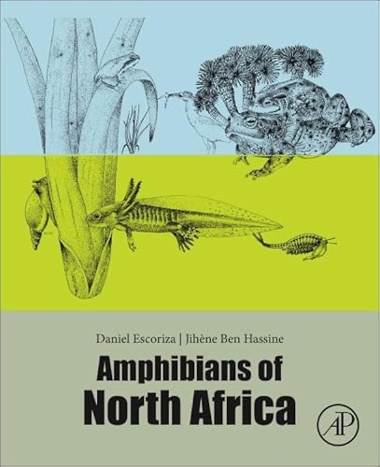 Amphibians of North Africa