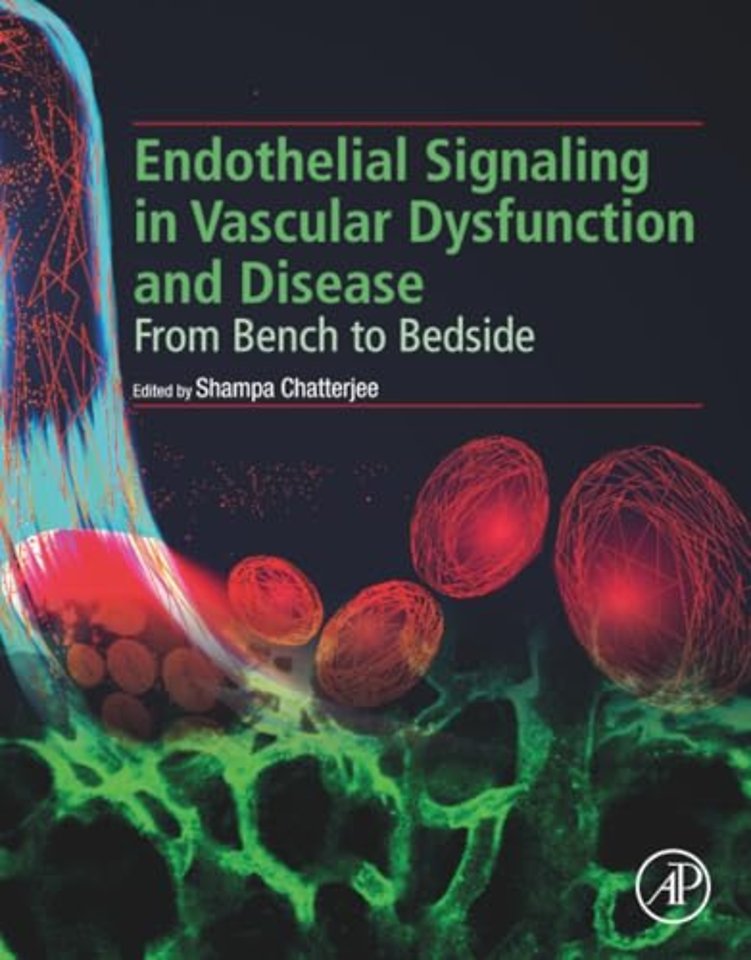 Endothelial Signaling in Vascular Dysfunction and Disease