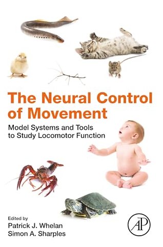 The Neural Control of Movement