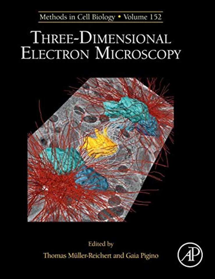 Three-Dimensional Electron Microscopy