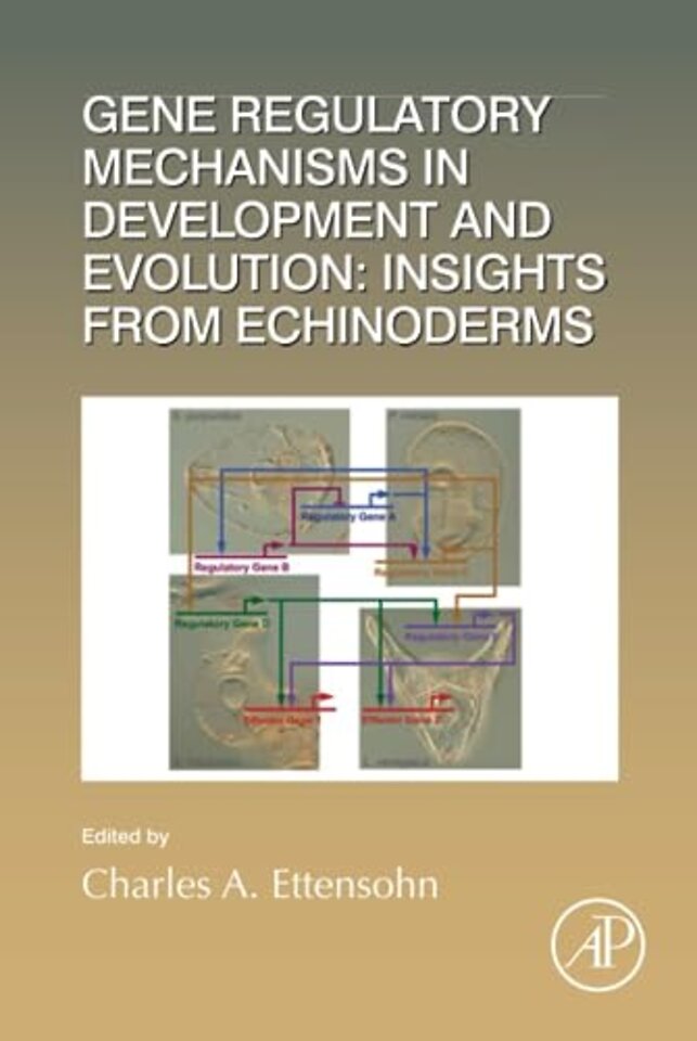Gene Regulatory Mechanisms in Development and Evolution: Insights from Echinoderms